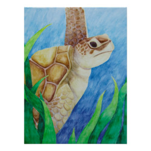 Affiche de la tortue de mer