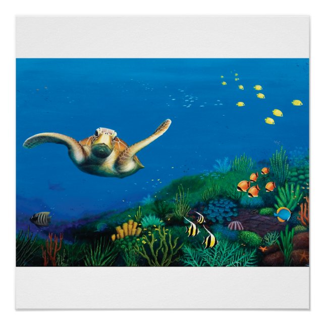 Affiche de la tortue verte (Devant)