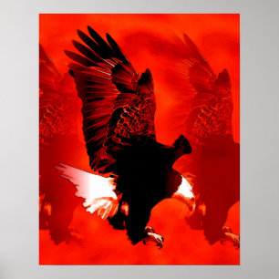 Affiche de l'aigle à l'atterrissage - Affiches de