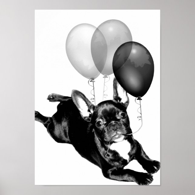 Affiche de l'anniversaire de la France (Devant)