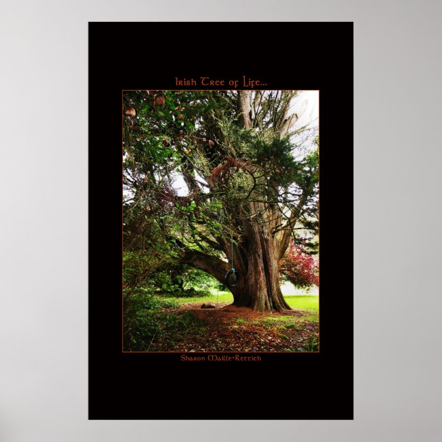 Affiche de l'arbre de vie irlandais (Devant)