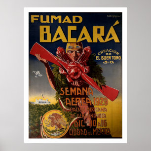 Affiche de l'aviation en 1929 "Fumad Bacara"