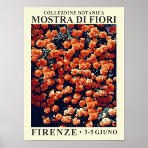 Affiche de l'exposition florale n° 3
