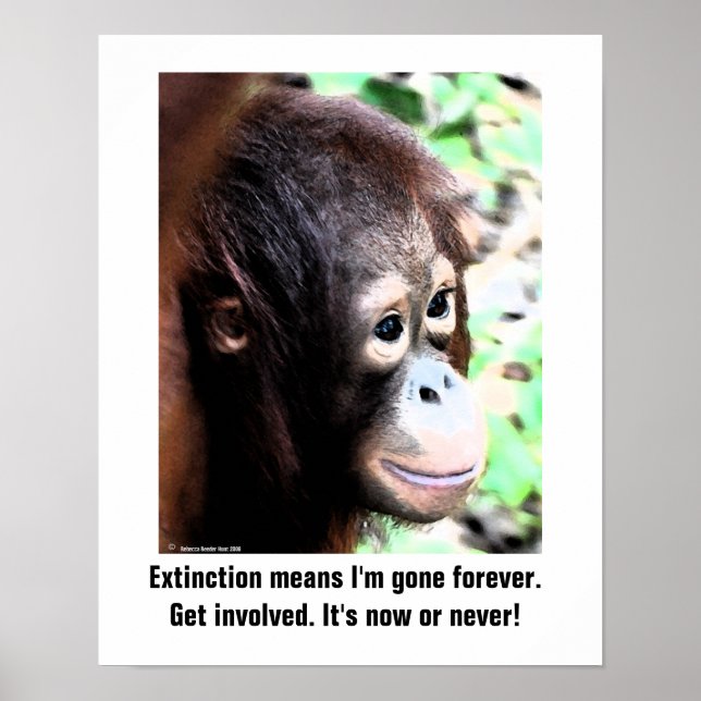 Affiche de l'extinction de la faune (Devant)