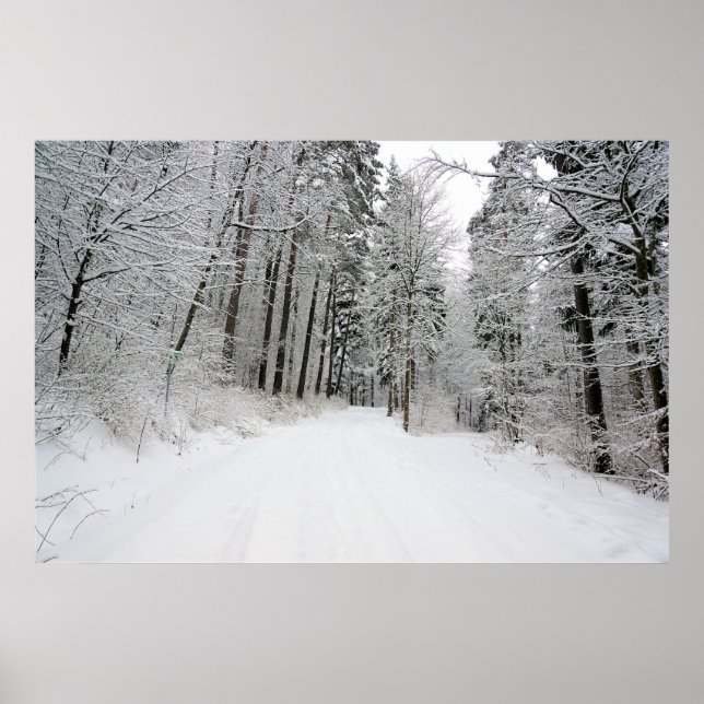 affiche de l'hiver (Devant)