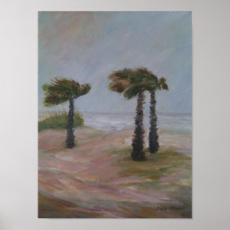 AFFICHE DE L'HURRICANE PALMS