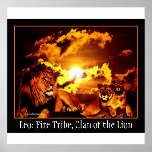 Affiche de Lion