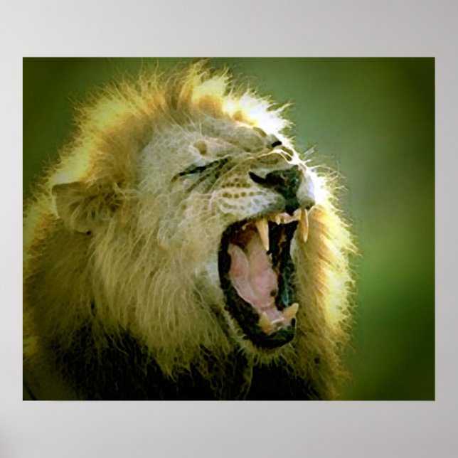 Affiche de lion rugissant (Devant)