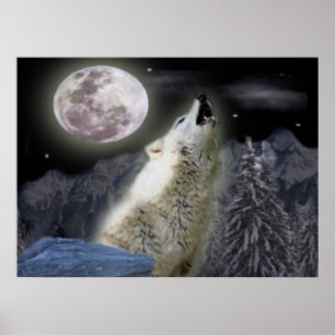 Affiche de loup solitaire
