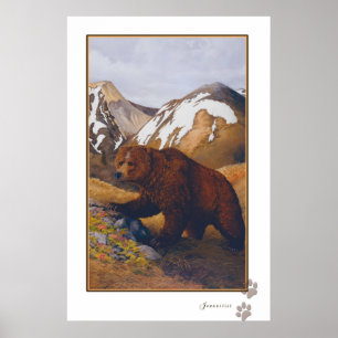 affiche de l'ours brun