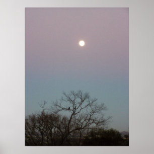 affiche de lune de soleil