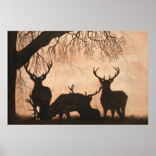 Affiche de mâles de cerfs communs rouges