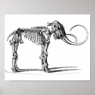 Affiche de mammouth laineux