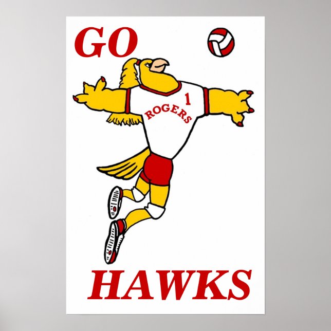 Affiche de mascotte de volley-ball SheHawk (Devant)