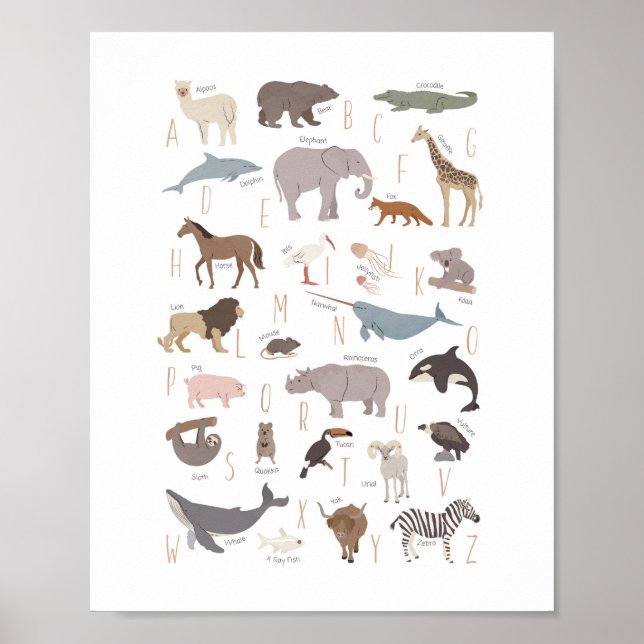 Affiche de maternelle Montessori Alphabet des Anim (Devant)