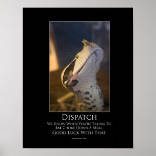 Affiche de motivation d'expédition