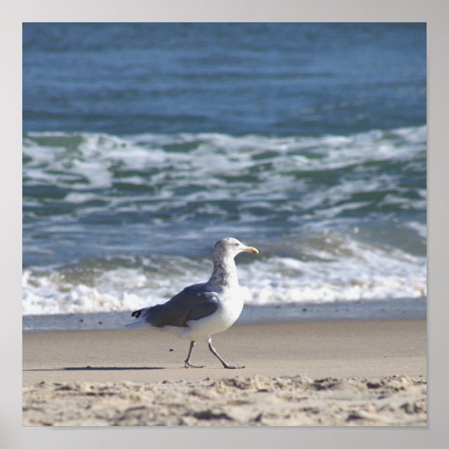 Affiche de mouette sur la plage (Devant)