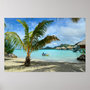 Affiche de palmier et de resort sur l'eau