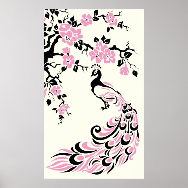 Affiche de paon rose noir et de fleurs de cerisier (Devant)