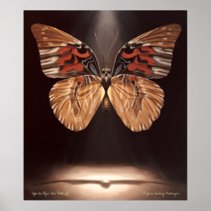 Affiche de papillon de visage de tigre