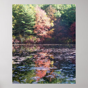 Affiche de paysage d'automne