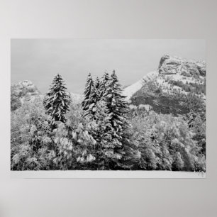 Affiche de paysage d'hiver
