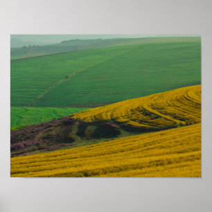 Affiche de paysage rural d'Afrique du Sud champs d