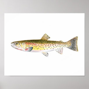 Affiche de pêche - poisson de truite de montagne