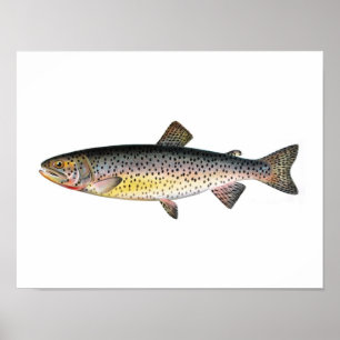 Affiche de pêche - poisson de truite de Tahoe