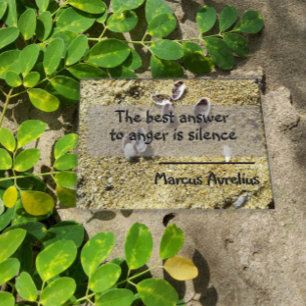 Affiche de philosophie du silence de la citation l