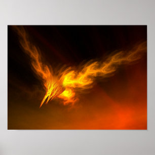 Affiche de Phoenix de l'aurore