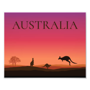 Affiche de photo d'Australie Kangourous