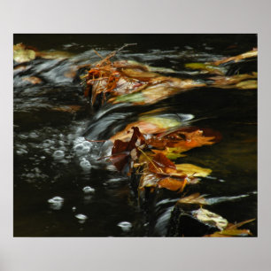Affiche de photo de cascade de courant d'automne