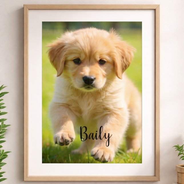 Affiche de photo de chien personnalisée avec nom A (Créateur téléchargé)