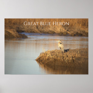 Affiche de photo de Grand Héron bleu