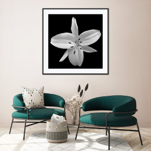 Affiche de photographie de fleurs en noir et blanc