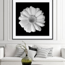 Affiche de photographie de fleurs en noir et blanc