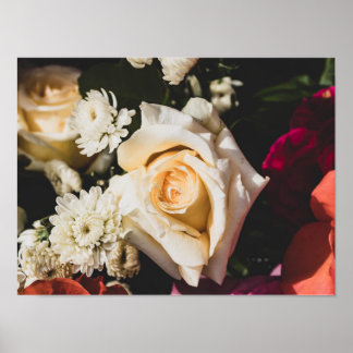 Affiche de photographie de rose blanche