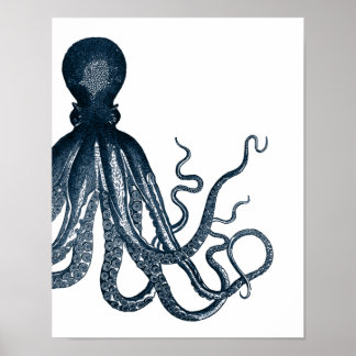 Affiche de pieuvre moderne bleue