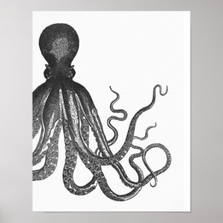 Affiche de pieuvre moderne noir et blanc
