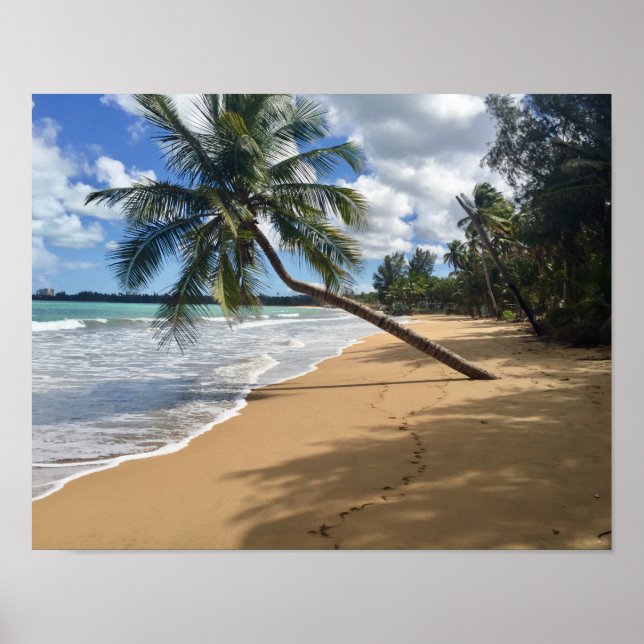 affiche de plage (Devant)