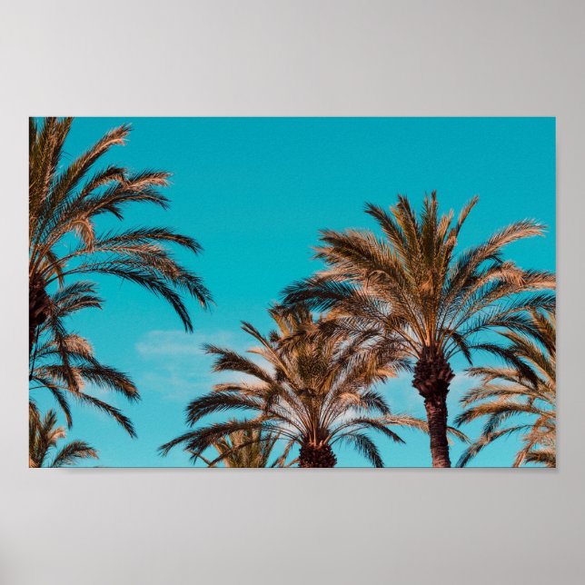 Affiche de plage (Devant)