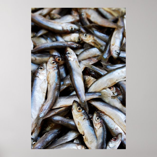 Affiche de poissons en gros plan (Devant)