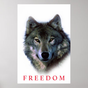 Affiche de porte unique du loup de la liberté moti