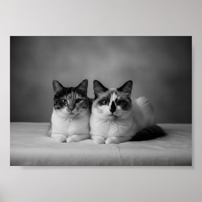 Affiche de portrait de compagnie personnalisée 4K  (Devant)