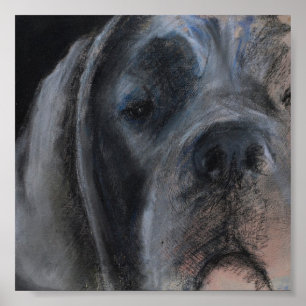 Affiche de portrait pastel du Grand Danois bleu