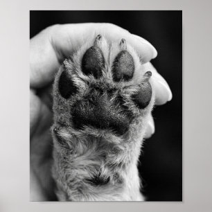 Affiche de portrait personnalisé de patte de compa