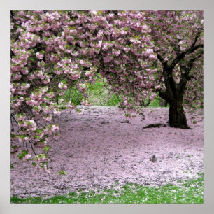 affiche de printemps en fleurs de cerisiers DE 8.9