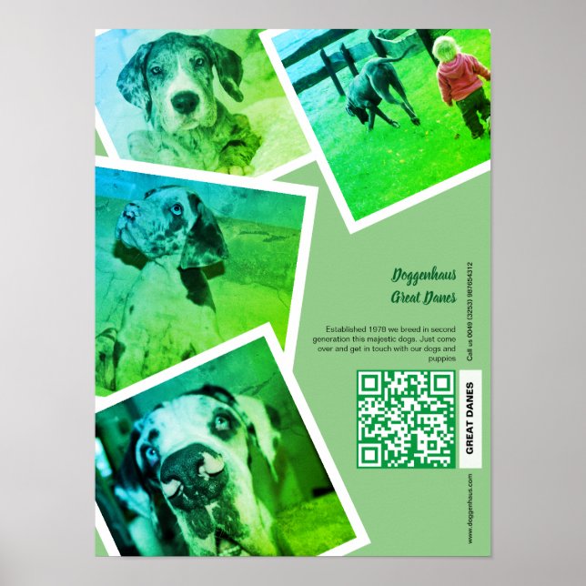 Affiche de promotion Great Dane Kennel (Devant)