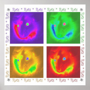 Affiche de rats de rats de rats